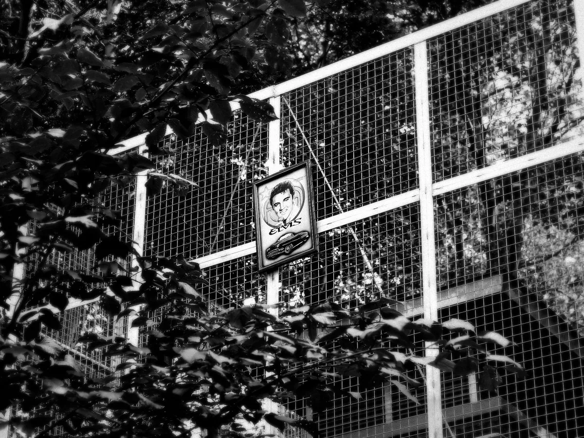 p8060431_dxo