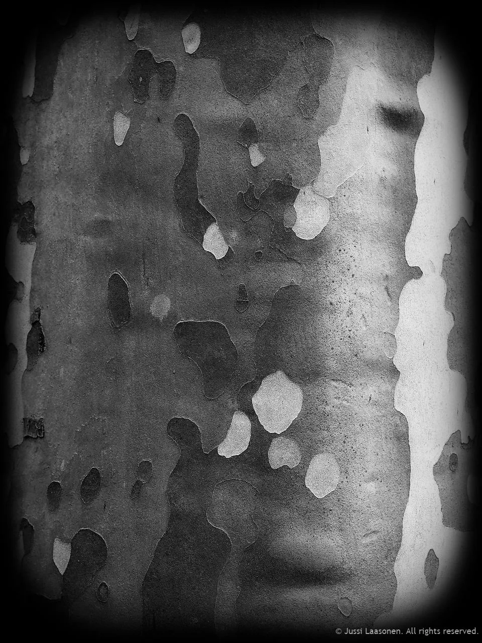 pc210072_dxo_watermark-1