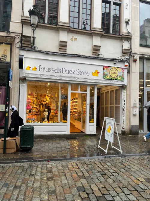 duck store with bathtub ducks
