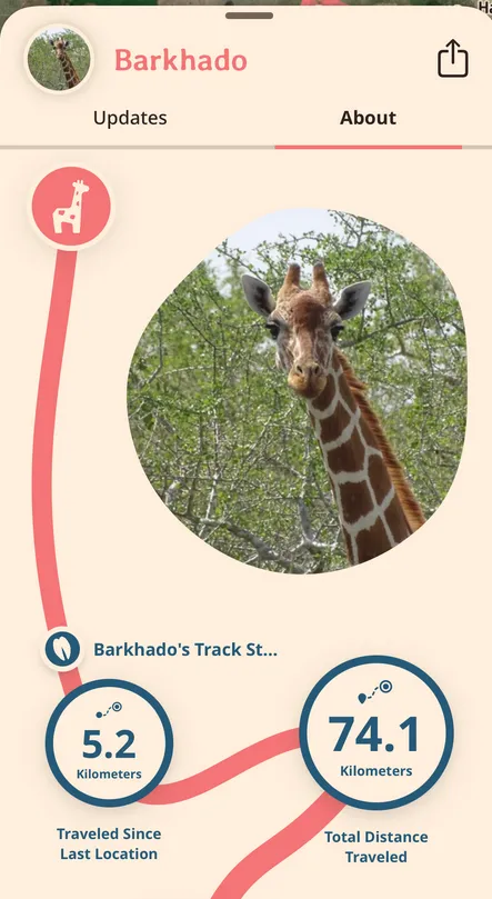 barkhado