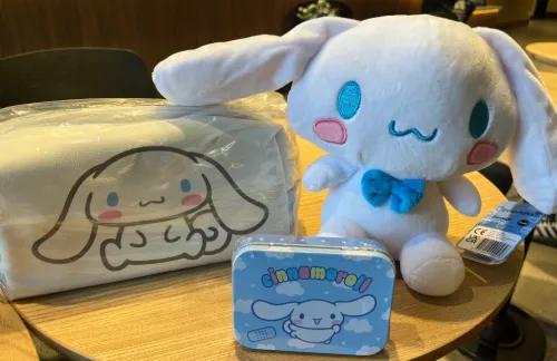 the contents of the bag as described