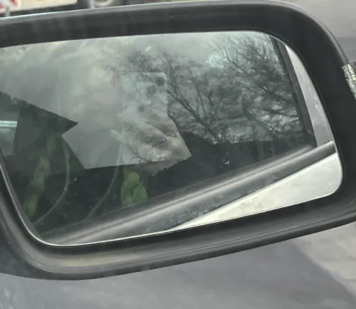 car rearview mirror