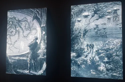 amazing art of octopi and jellies