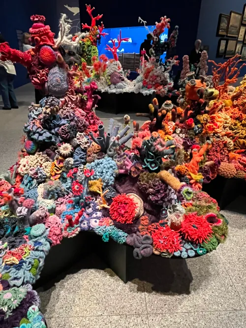 very very cool yarn corals