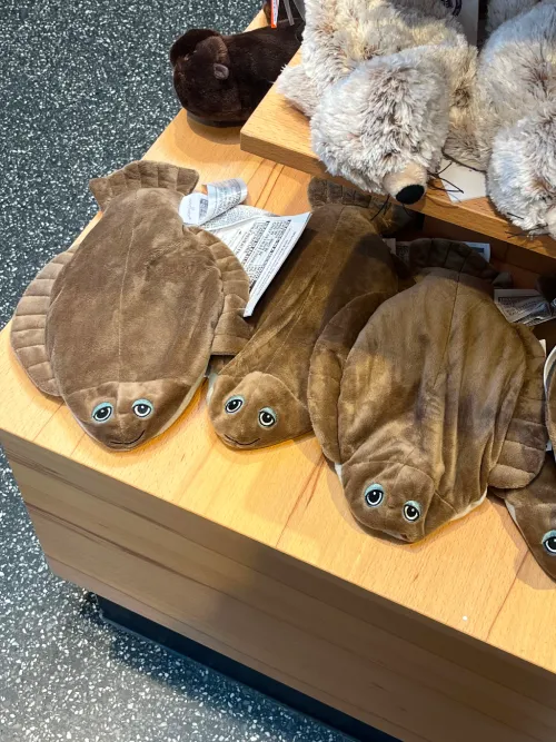 souvenir shop flouders