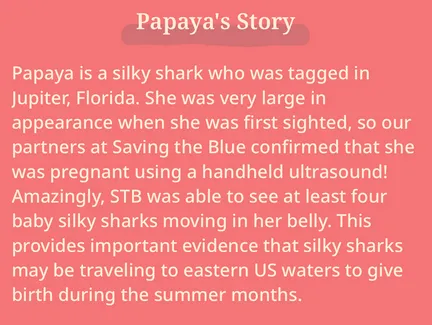 papaya2