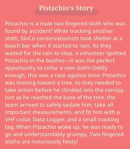 pistachio2