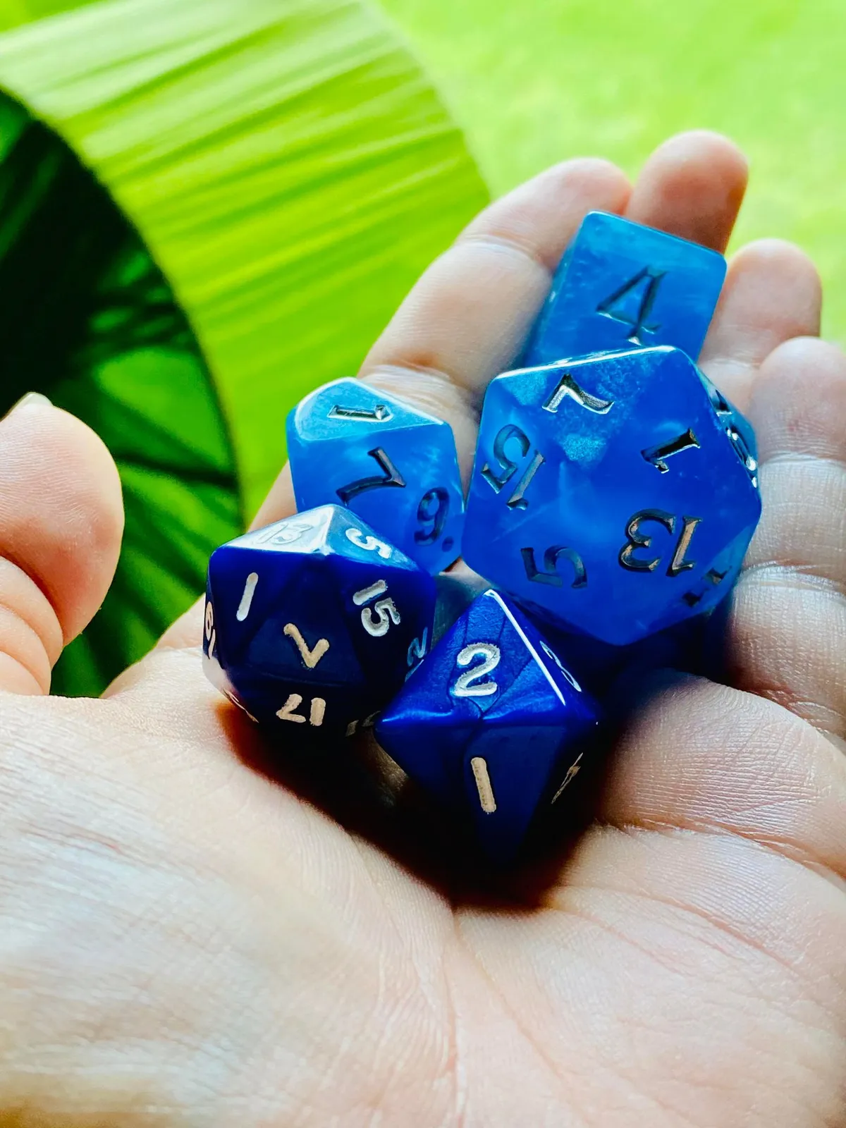 295523551_1734836450211002_5052871837331830775_n