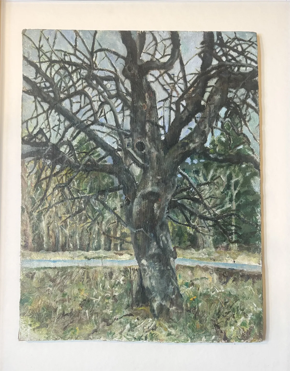 appple tree