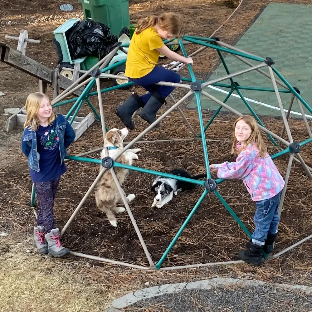 Echo goes for L's boot while she sits on our geodesic climber."