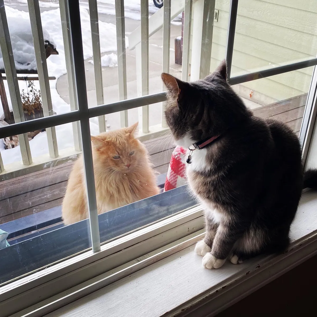 big_house_visiting_hour