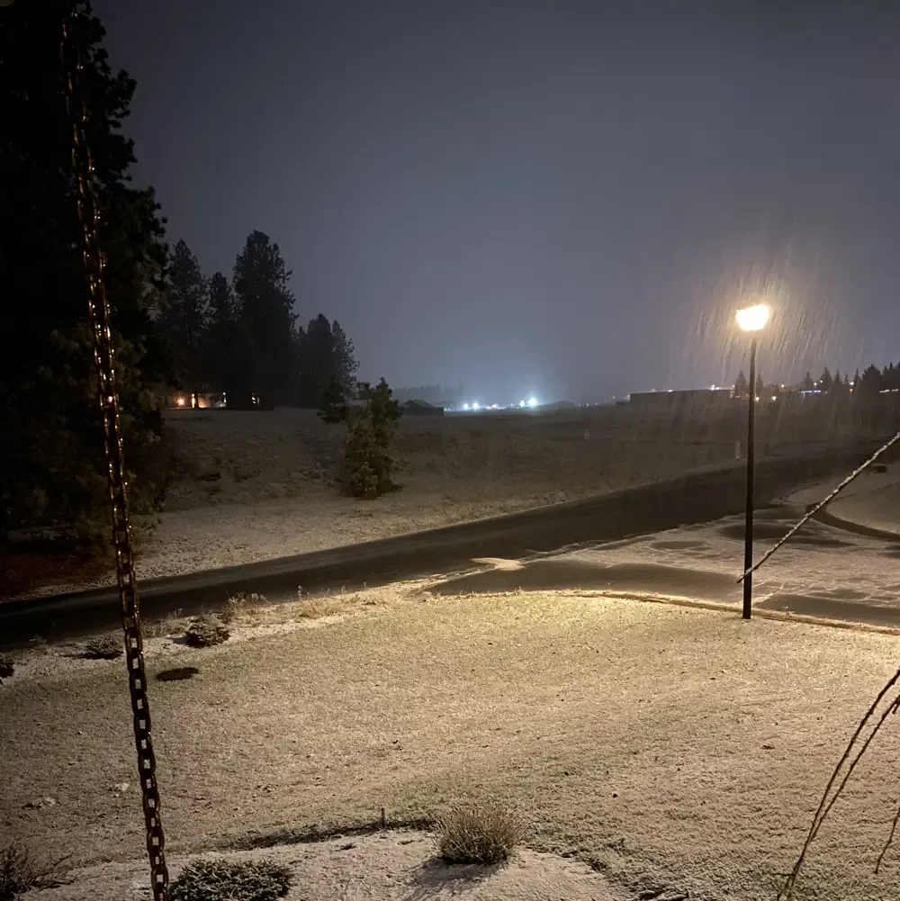 Looking north from our porch this evening as the snow falls.