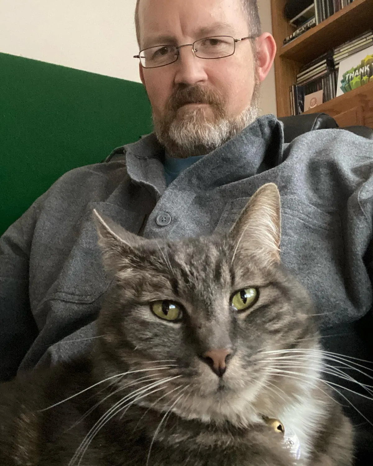 giant-lap-cat