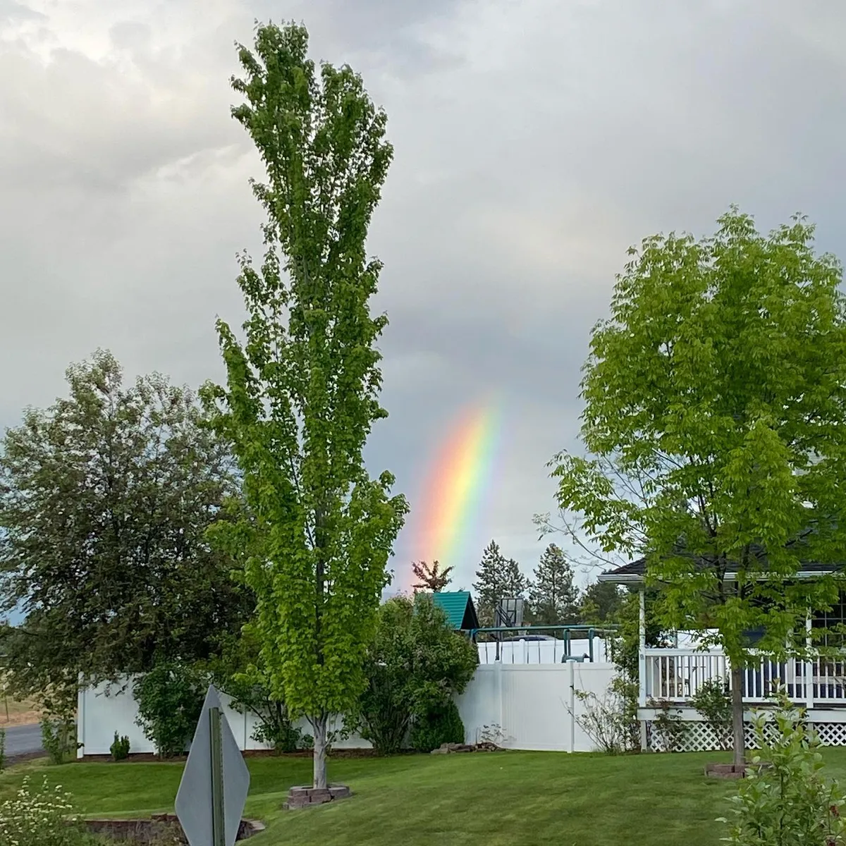 rainbow