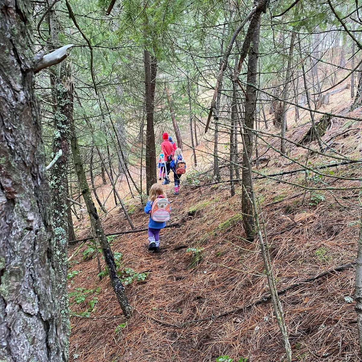 rainy-morning-hike-1