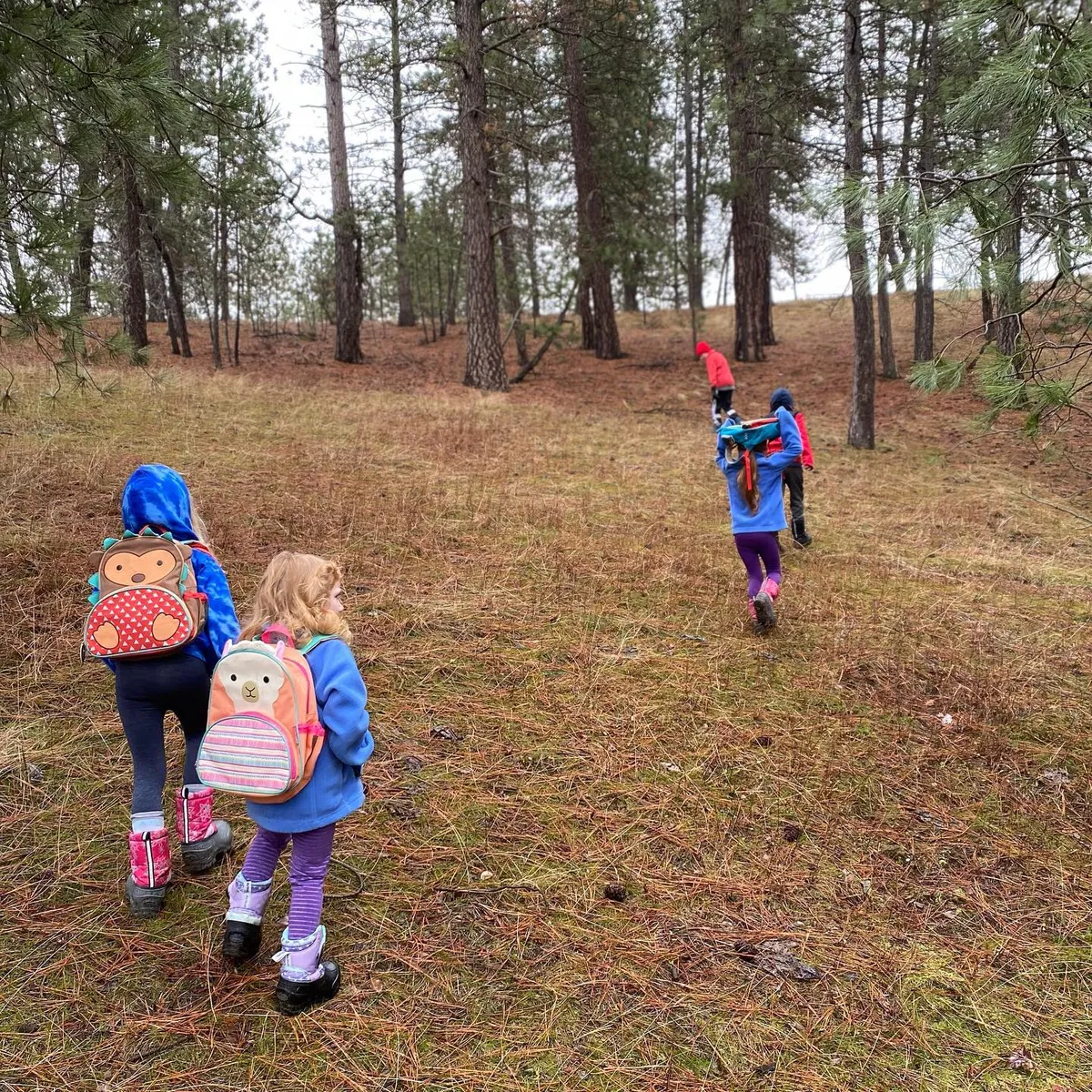 rainy-morning-hike-2jpg