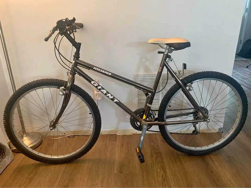 giantbike