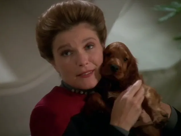 vlcsnap-2026-02-19-02h02m04s257