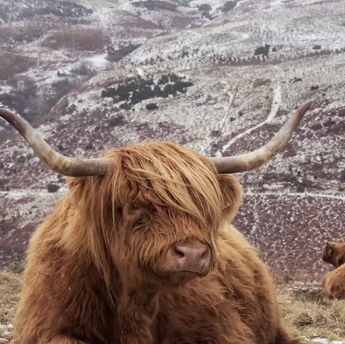 Publisher Logo