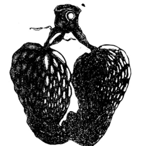 Publisher Logo