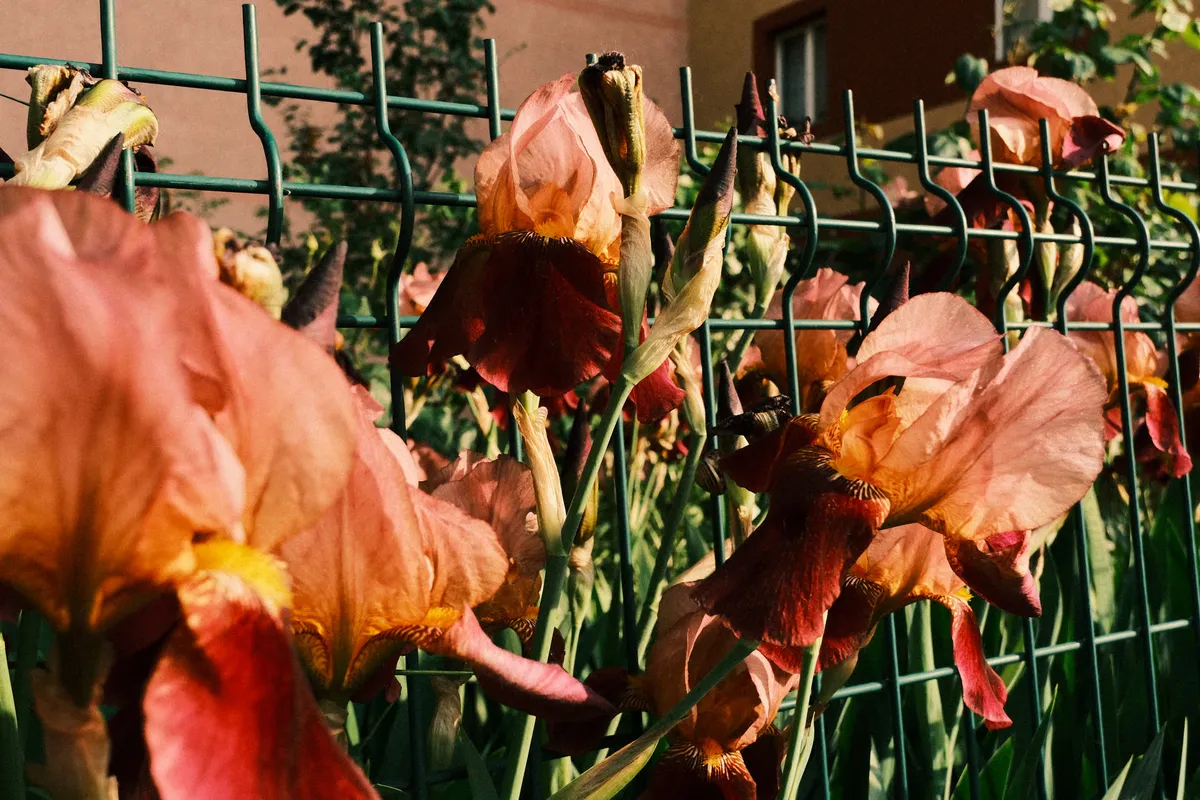 Very much like the colors, but the composition is kind of lacking