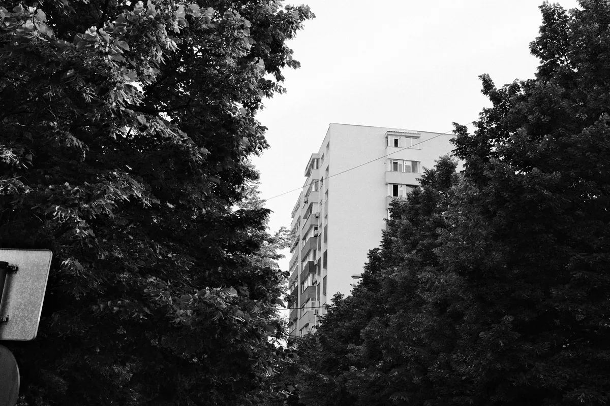 Not the greatest exposure, but (almost) nailed the framing