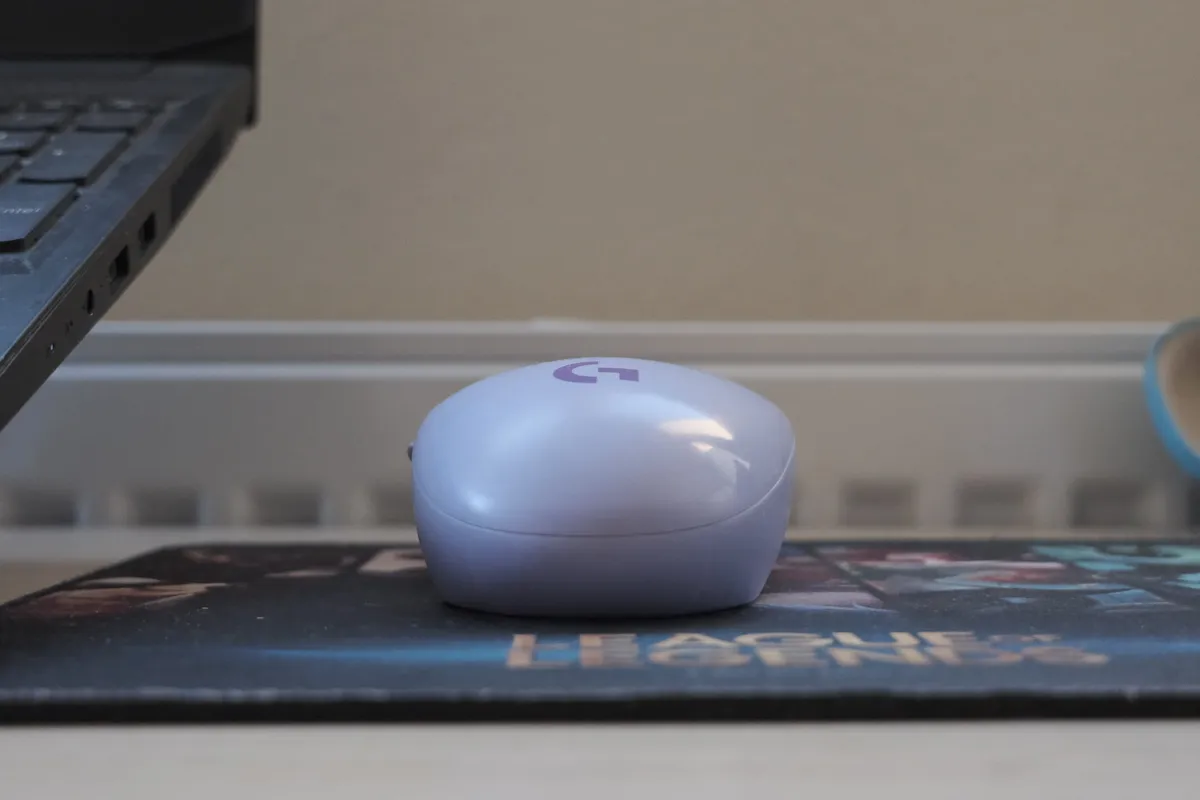 The mouse just looks juicy as fuck