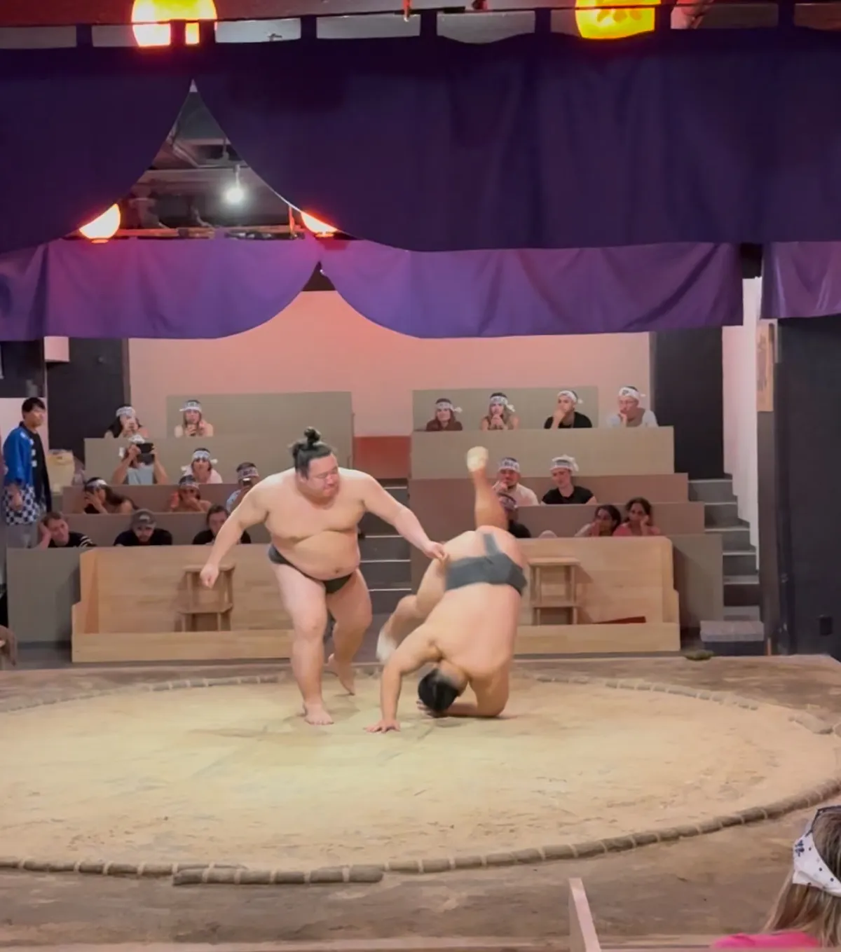 sumo wrestler show