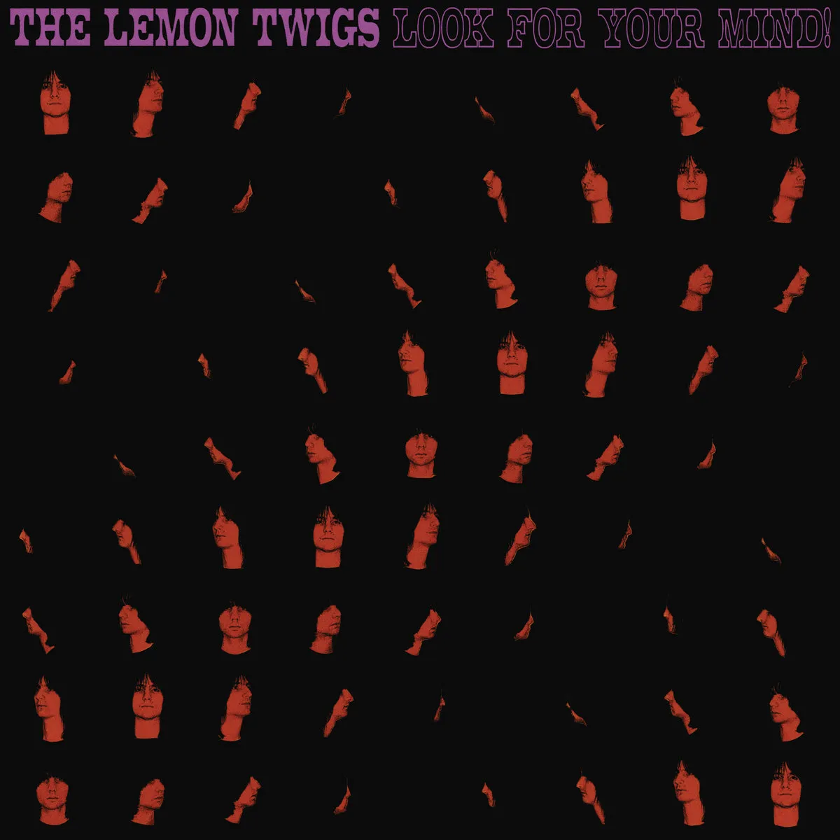 20260531-blog-music-thelemontwigs-lookforyourmind