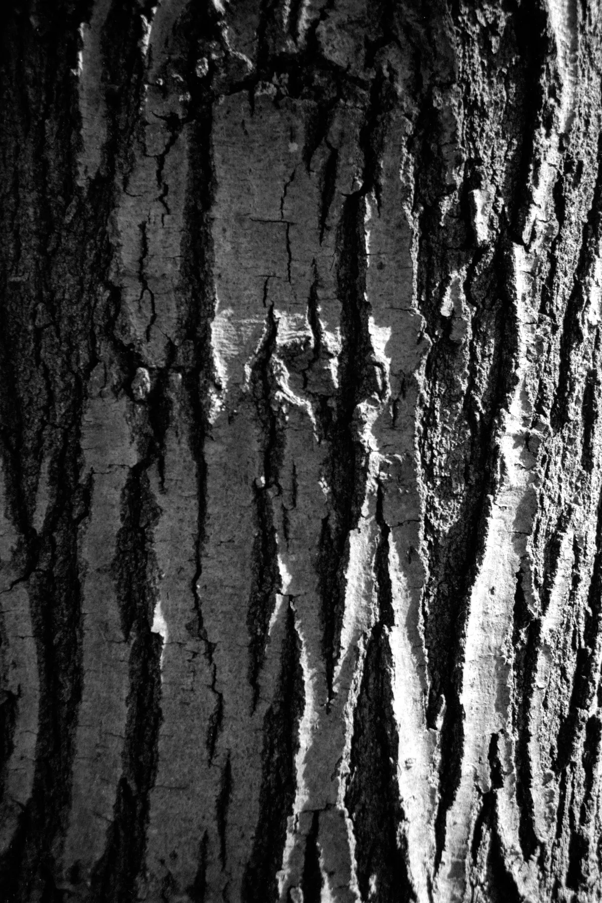 scanname