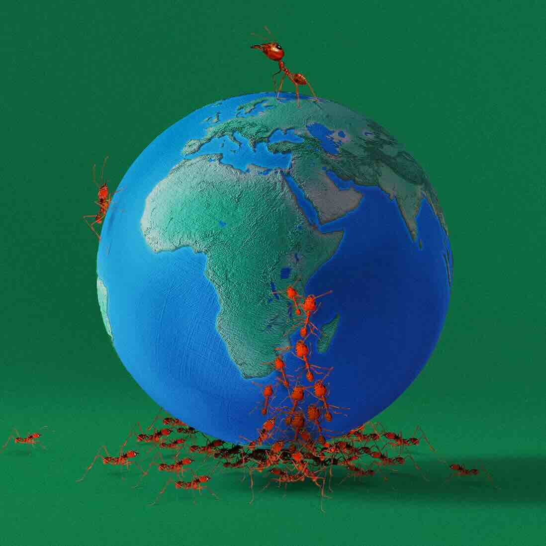 Thumbnail of ants holding up a globe
