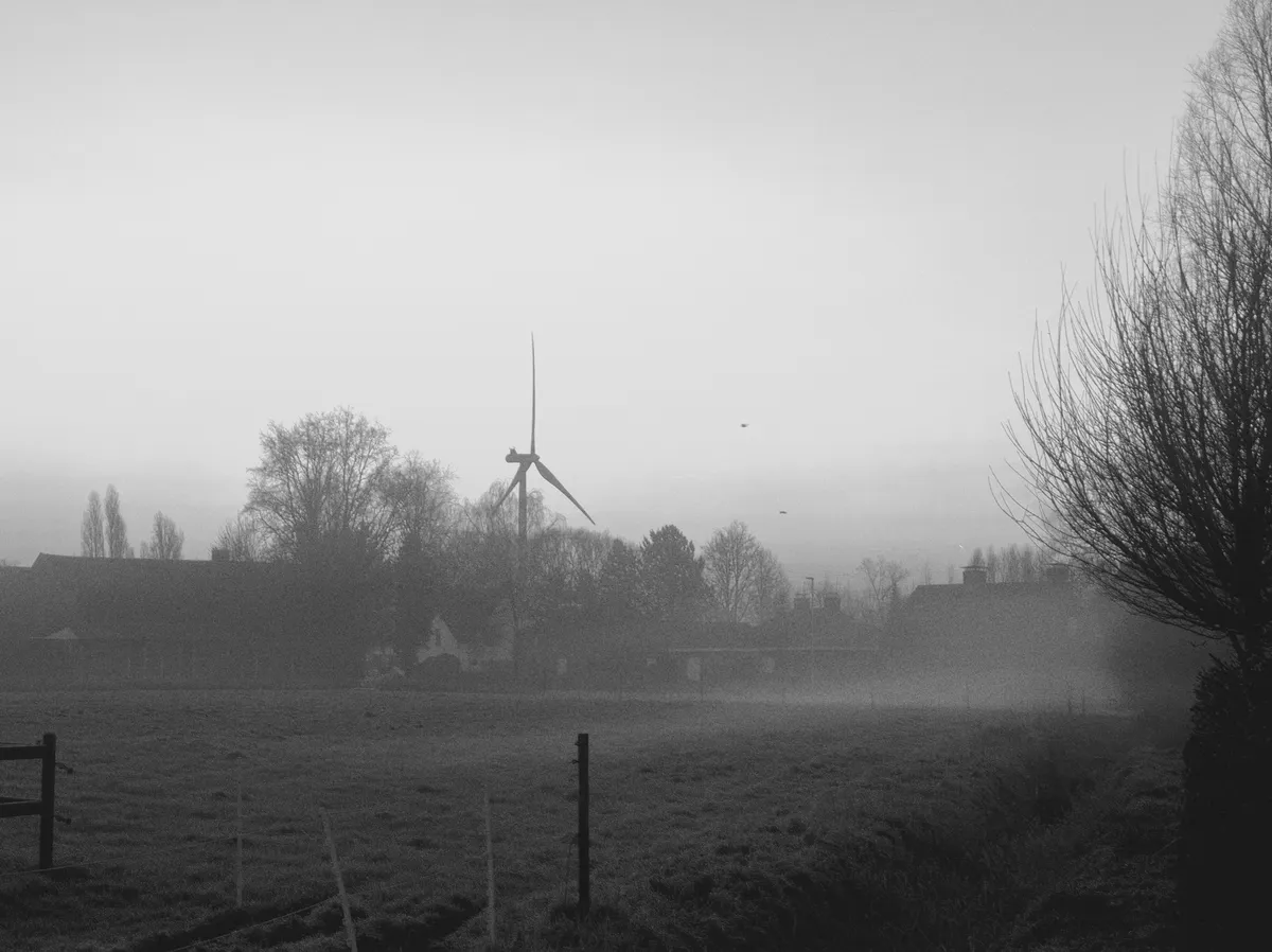 Morning fog