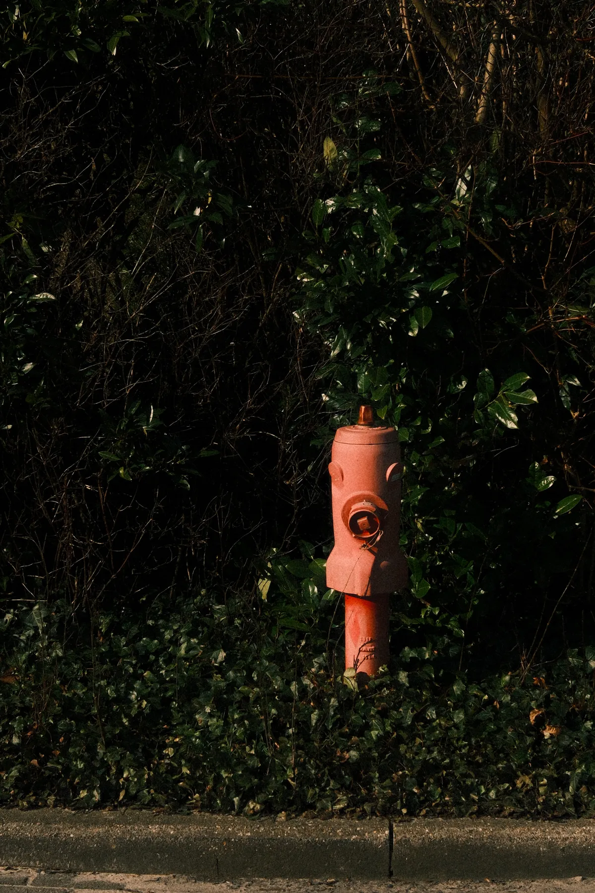 Fire hydrant
