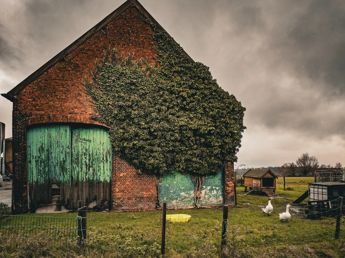 Milk farm