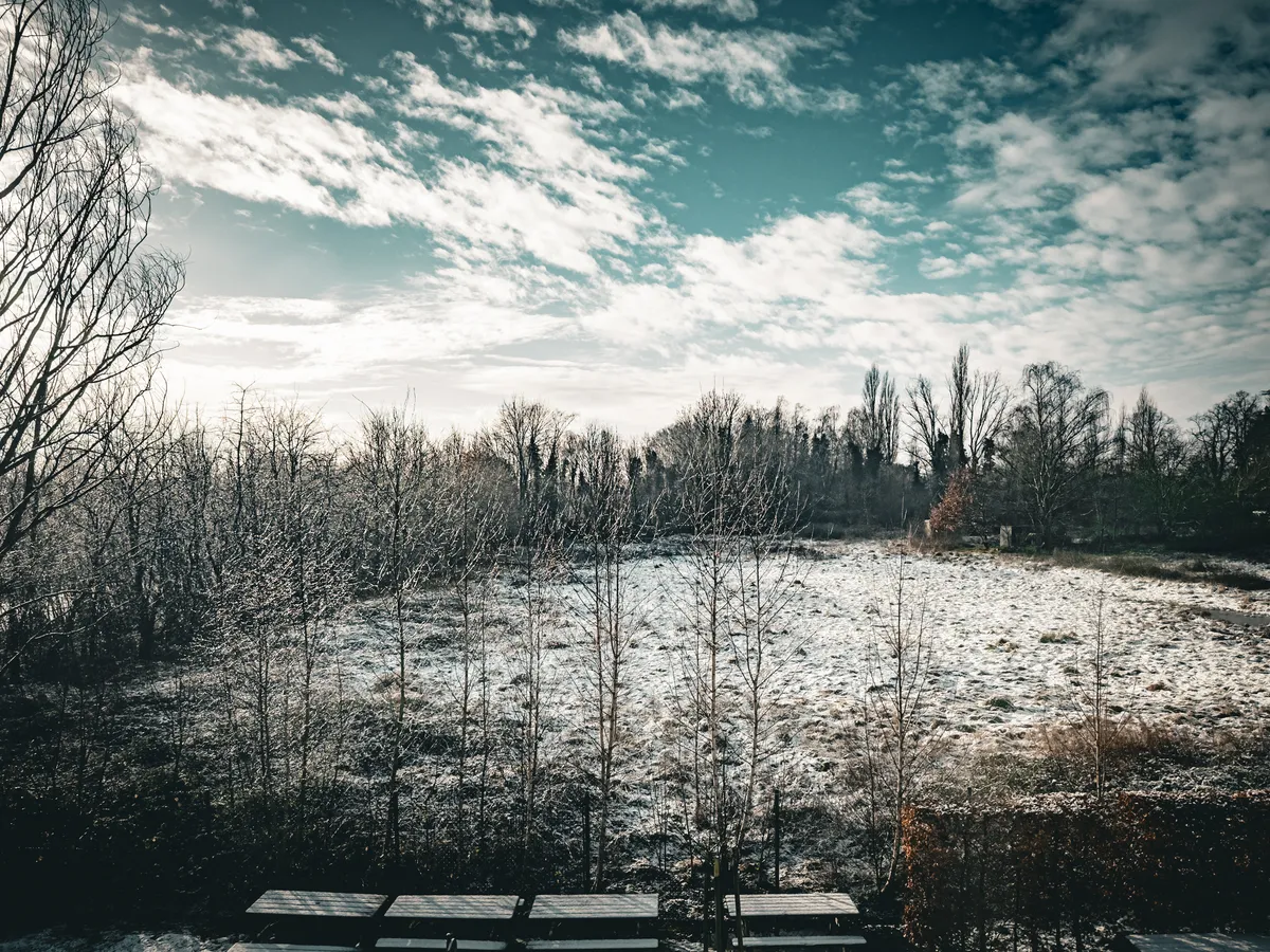 Snowy field