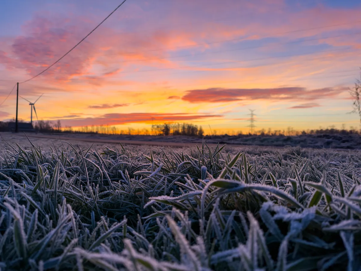 Morning freeze