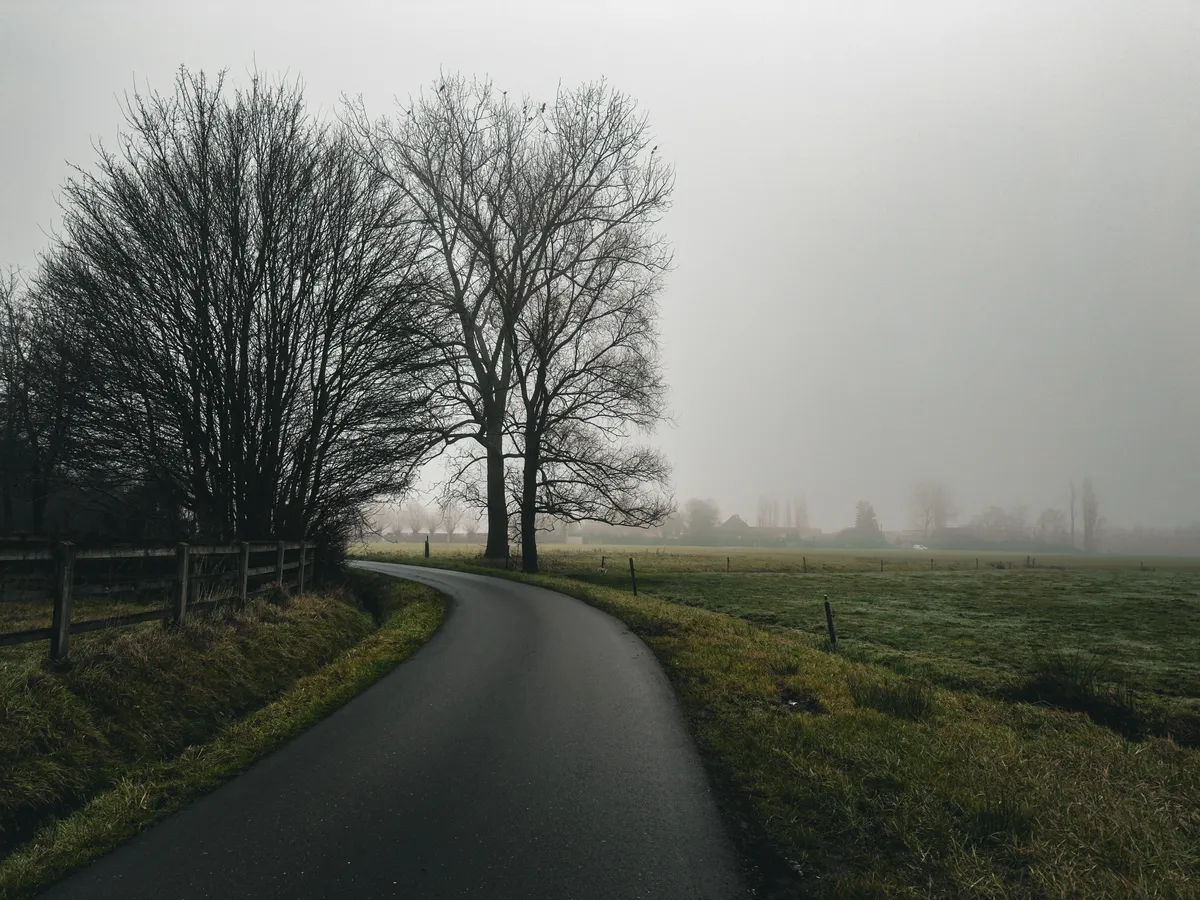 Following the road through the fog