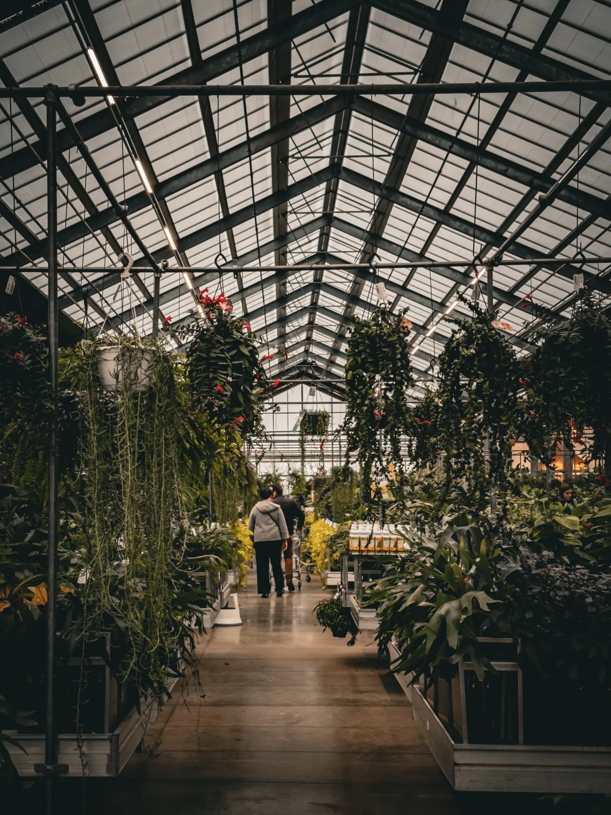 Garden center