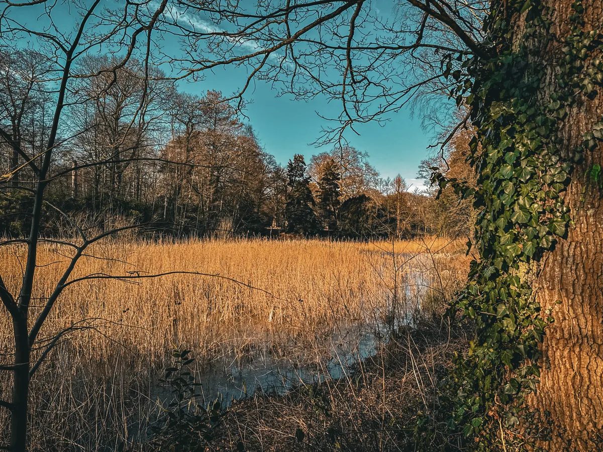IMG_2300