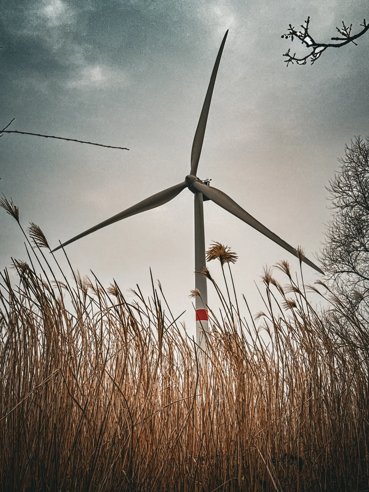 wind turbine