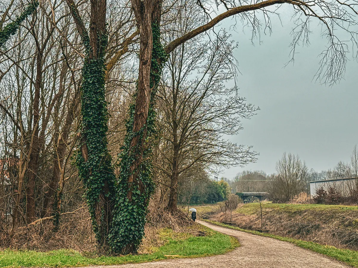 Pathway around the corner