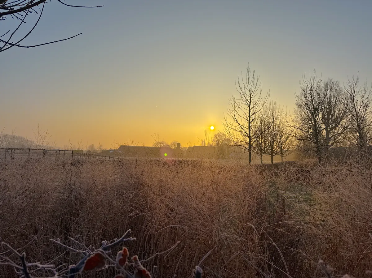 Bright and sunny morning