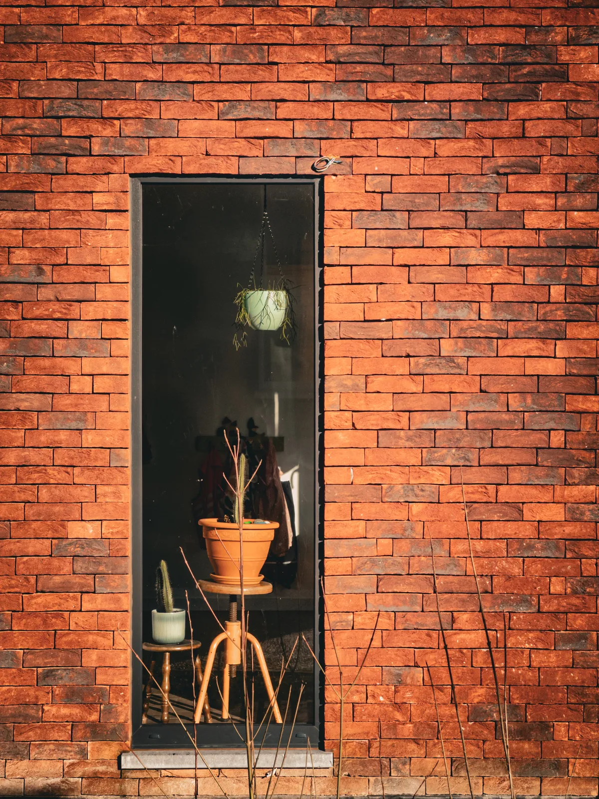 Window