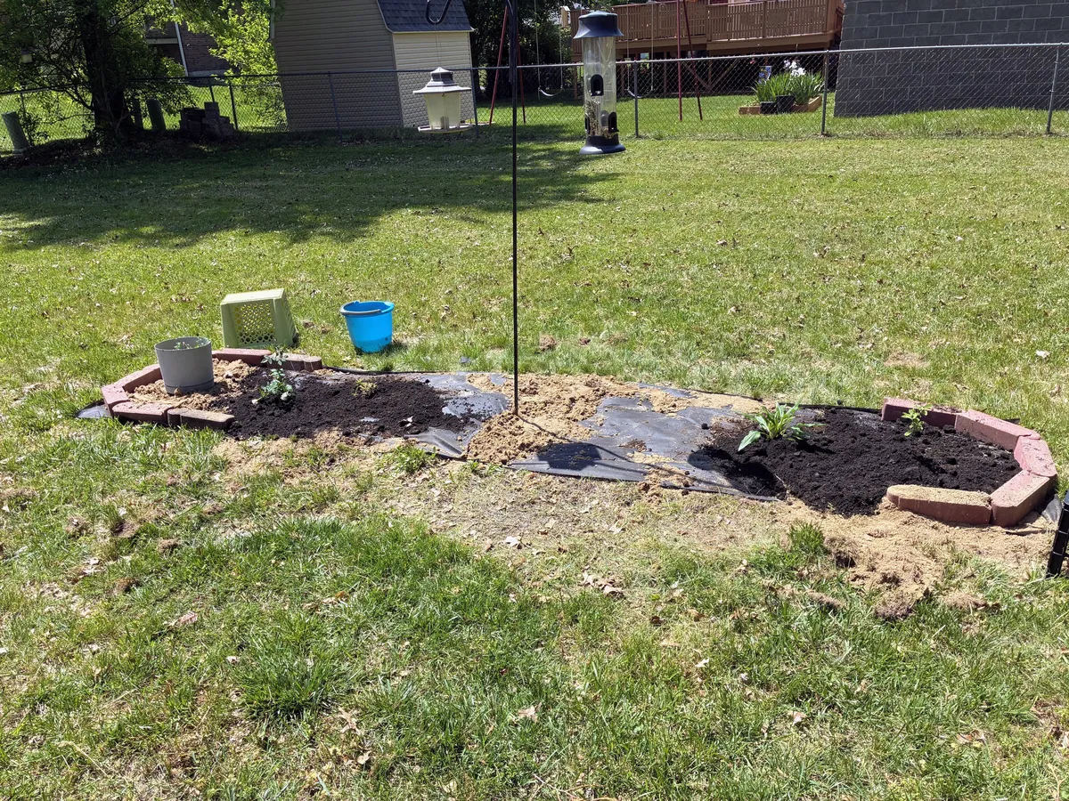 Backyard bird feeder surrounded by black plastic, new topsoil and plants, with some bricks on the side. It's a small patch in the middle of a grassy yard.