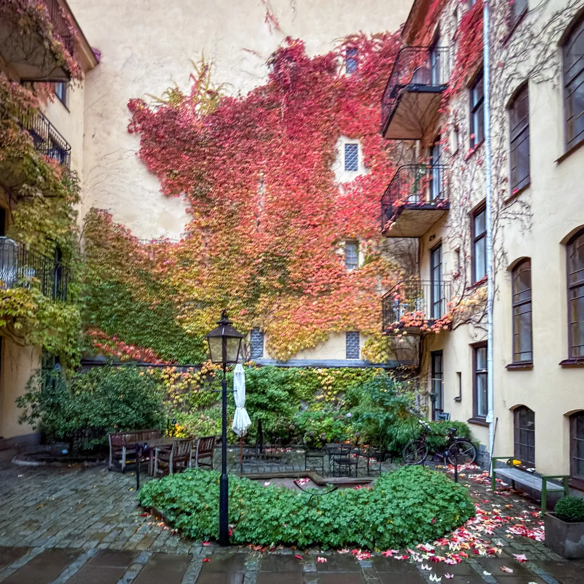 A courtyard features a building facade covered in vibrant red and green ivy, with a small seating area and bicycles nearby.