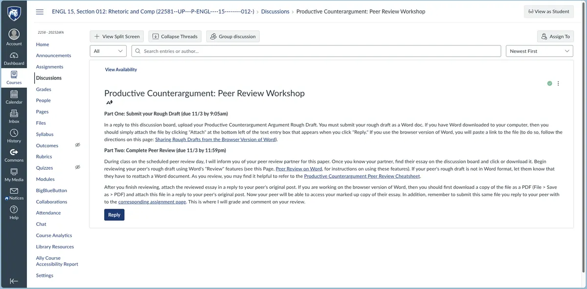 Screenshot of a Canvas discussion board showing directions for peer review.