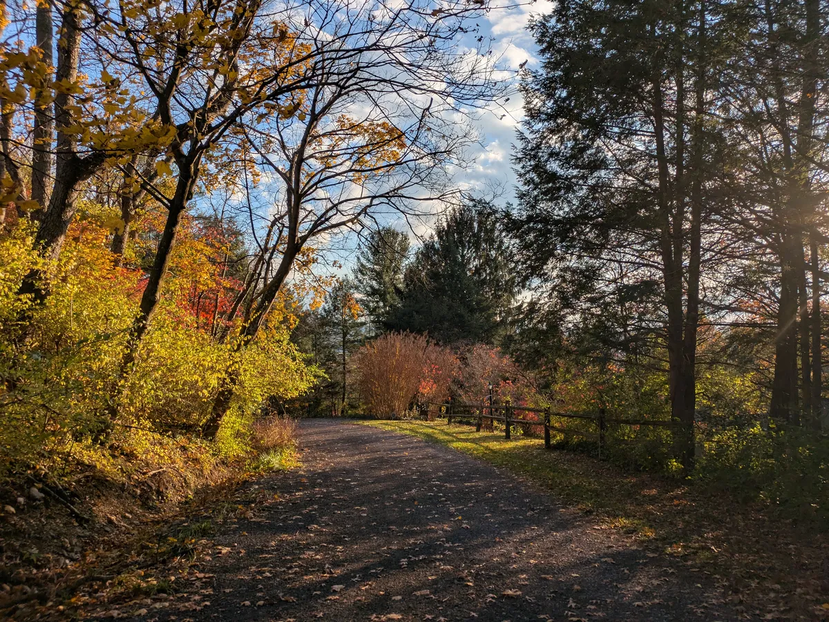autumn road wv