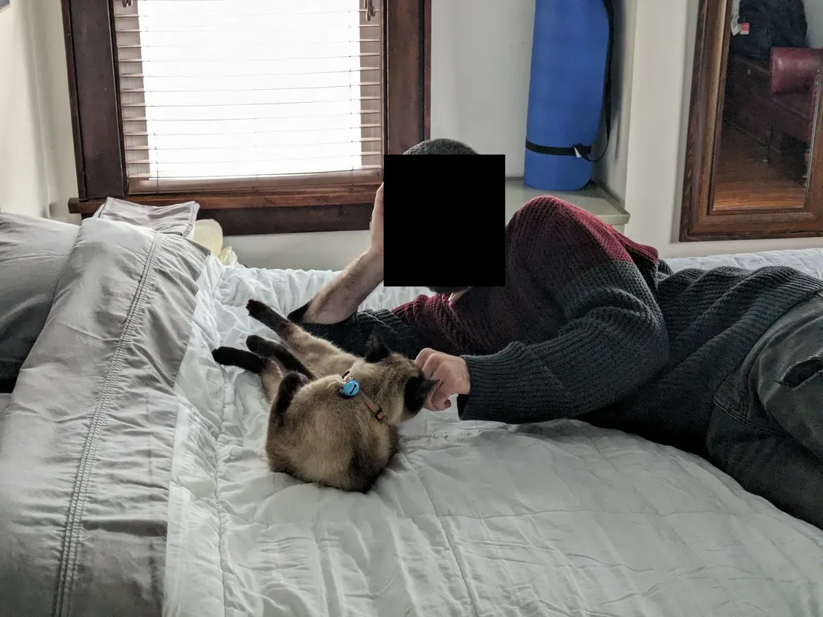 cat and man