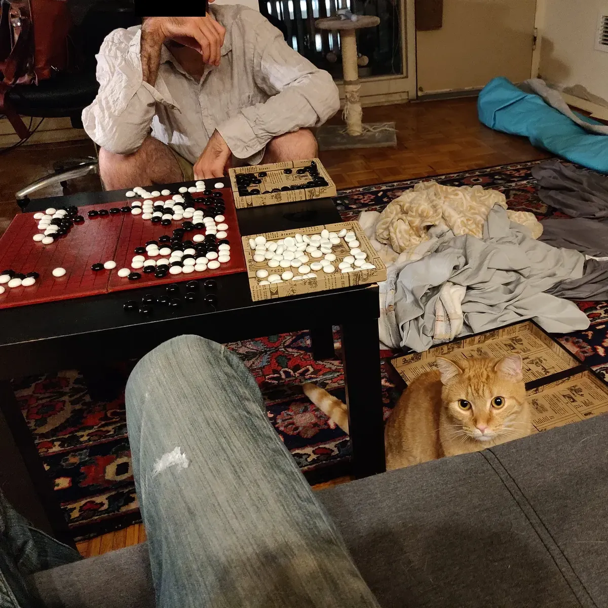 cat weiqi