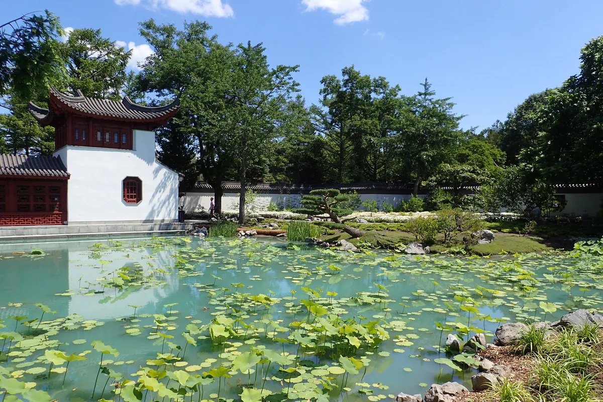 chinese garden pond